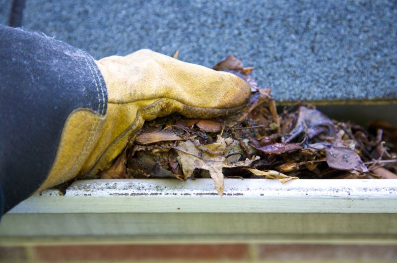 Eavestrough Clearing in Morris County, NJ