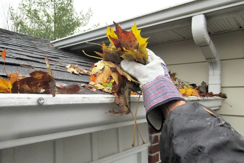 Gutter Leaves Removal in Longmont, CO